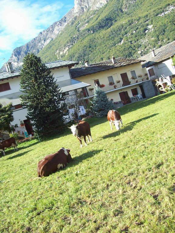 Agriturismo La Grange Pont-Saint-Martin Exterior foto