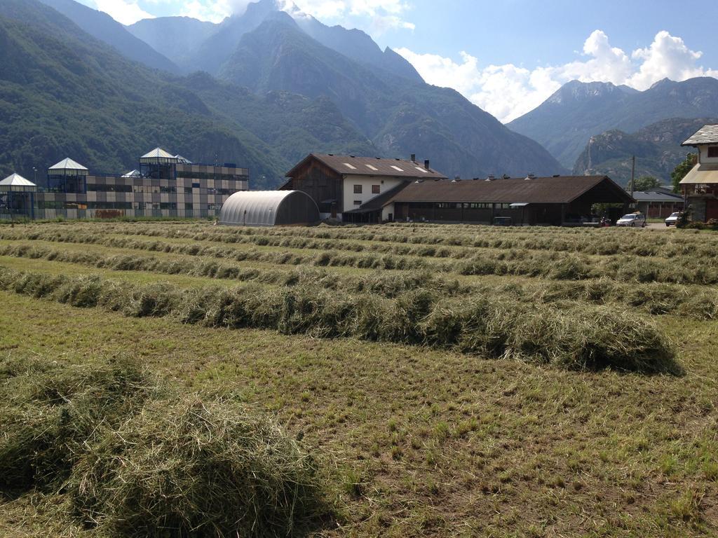 Agriturismo La Grange Pont-Saint-Martin Exterior foto